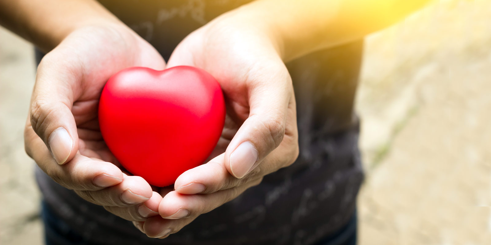 hands holding heart shaped object